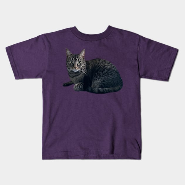 Tabby Cutie Kids T-Shirt by Amanda1775